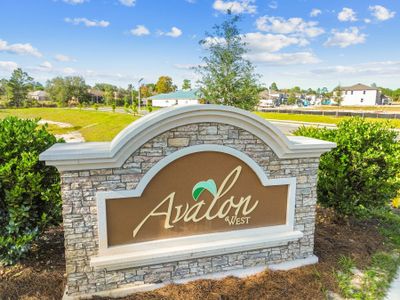Avalon West by M/I Homes in Spring Hill - photo 25 25