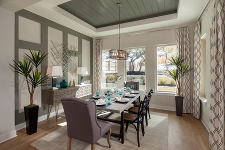 Alsatian Oaks by Coventry Homes in Castroville - photo
