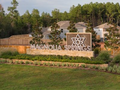 Magnolia Springs by CastleRock Communities in Montgomery - photo 2 2