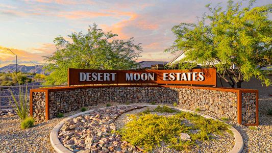 Desert Moon Estates by D.R. Horton in Buckeye - photo