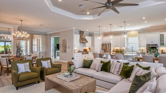 Esplanade at Artisan Lakes by Taylor Morrison in Palmetto - photo 86 86