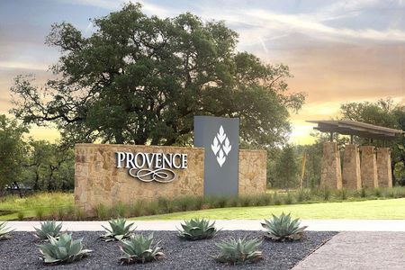 Provence 50' by David Weekley Homes in Austin - photo 1 1