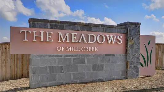 Meadows of Mill Creek 50' by Perry Homes in Seguin - photo 0 0