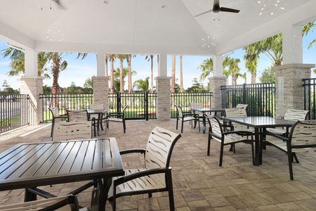 Waterset Cottage Series by David Weekley Homes in Apollo Beach - photo 4