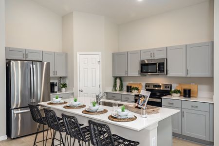 Lawson Dunes by Casa Fresca Homes in Haines City - photo 31 31