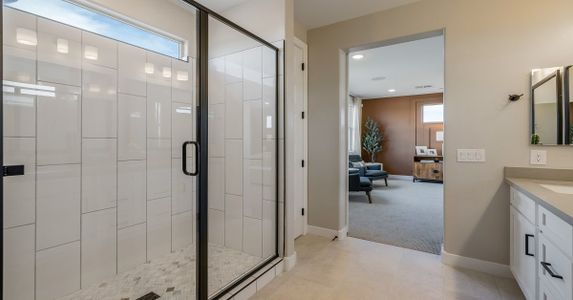 Eminence at Alamar by William Ryan Homes in Avondale - photo 38 38