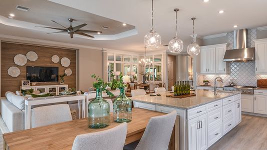 Esplanade at Artisan Lakes by Taylor Morrison in Palmetto - photo 100 100