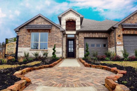 Spring Branch — Colina Homes by Colina Homes in Houston - photo