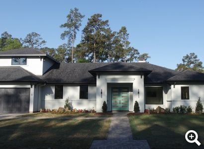 The Woodlands by Jeff Paul Custom Homes in Spring - photo 2 2