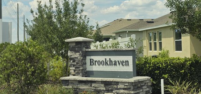 Brookhaven by Adams Homes in Ocala - photo 9 9