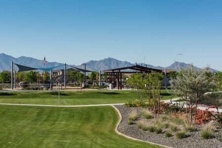 Roosevelt Park by Mattamy Homes in Avondale - photo 5 5