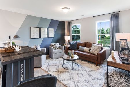 Petterson Meadows by Mungo Homes in Summerville - photo 90 90