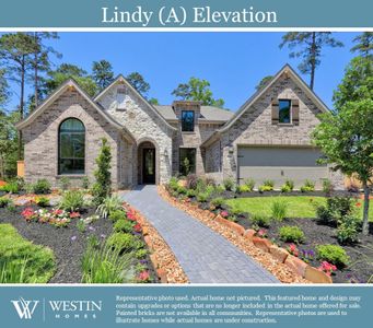 Nolina - 60' by Westin Homes in Georgetown - photo 4 4