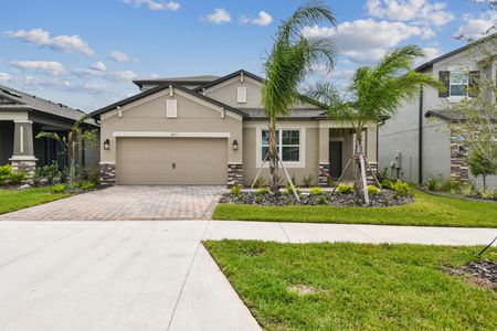 Berry Bay by M/I Homes in Wimauma - photo 40 40