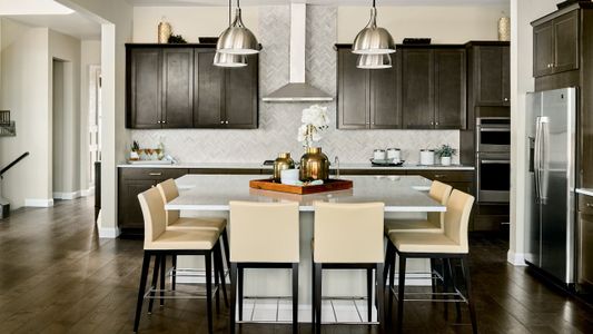Trailstone Destination Collection by Taylor Morrison in Arvada - photo 81 81