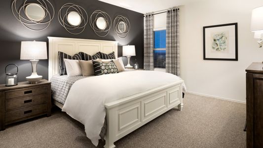 Elm Creek: 45' Watermill Collection by Lennar in Elgin - photo 8 8
