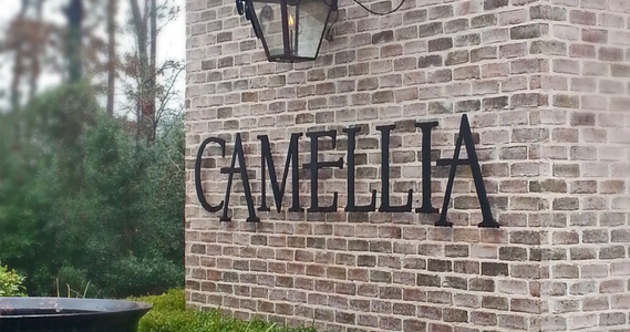 Camellia by OMG Builders LLC in Conroe - photo 0