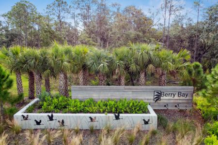 Berry Bay by M/I Homes in Wimauma - photo 39 39