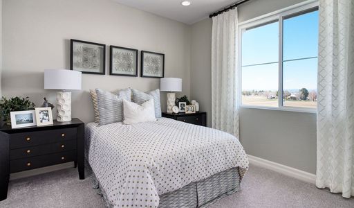 Urban Collection at Copperleaf by Richmond American Homes in Aurora - photo 7