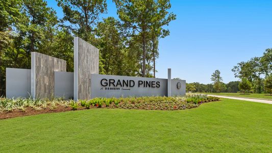 Grand Pines by D.R. Horton in Magnolia - photo 67 67