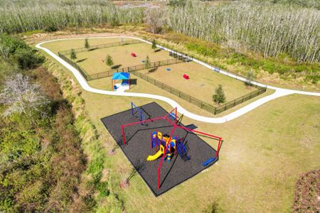Hammock Reserve by Dream Finders Homes in Haines City - photo 6 6