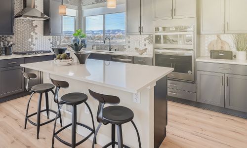 Bloom by Brightland Homes in Fort Collins - photo