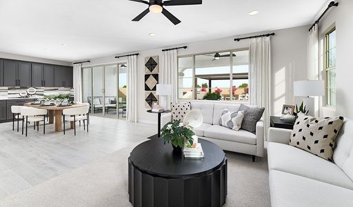 Light Sky Ranch by Richmond American Homes in Queen Creek - photo 53 53