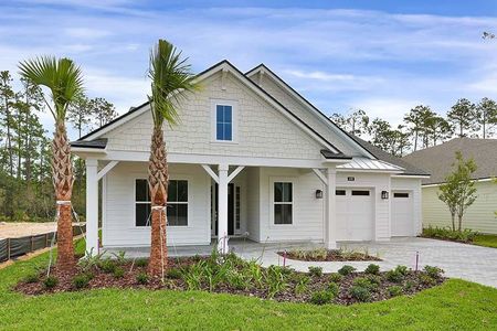 Palm Crest AT Seabrook by Providence Homes (Florida) in Nocatee - photo 8 8