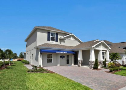 Serenade at Ovation by Dream Finders Homes in Winter Garden - photo 11 11