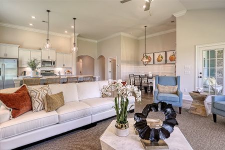 Hewing Farms by Mungo Homes in Summerville - photo 15 15