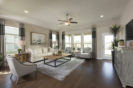 Wolf Ranch South Fork 51' Standard Series by Coventry Homes in Georgetown - photo 22 22