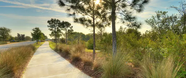Persimmon Park by ICI Homes in Wesley Chapel - photo 1 1