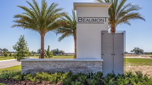 Beaumont by D.R. Horton in Wildwood - photo 6 6