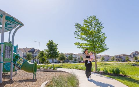 Urban Courtyard Homes at Easton Park by Brookfield Residential in Austin - photo 52 52