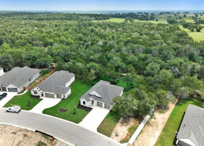 The Colony by Sitterle Homes in Bastrop - photo 1 1