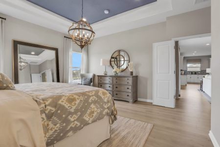 Talichet by Dream Finders Homes in Howey-in-the-Hills - photo 14 14
