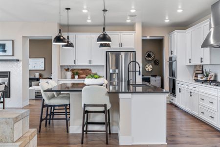 Trailstone Destination Collection by Taylor Morrison in Arvada - photo 138 138