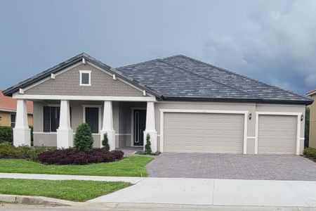 River Pointe by William Ryan Homes in Riverview - photo 2 2