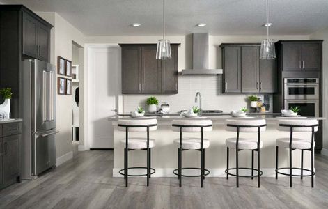 Harmony at Sterling Ranch by Trumark Homes in Littleton - photo 41 41