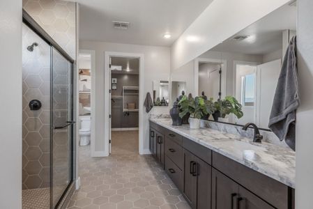 The Grove at El Cidro by William Ryan Homes in Goodyear - photo 75 75