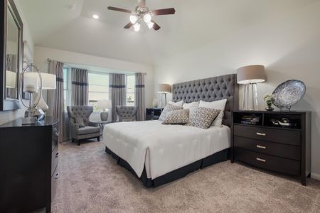 Stone Creek Ranch by Liberty Home Builders in Hockley - photo 17 17