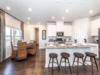 Sweetwater Green - Ace Series by Meritage Homes in Lawrenceville - photo 7 7