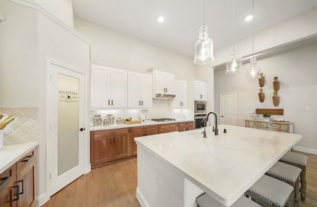 Amira: Premier Collection by Beazer Homes in Tomball - photo 13 13