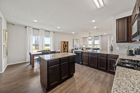 Abbott Place by Legend Homes in Saint Hedwig - photo 26 26