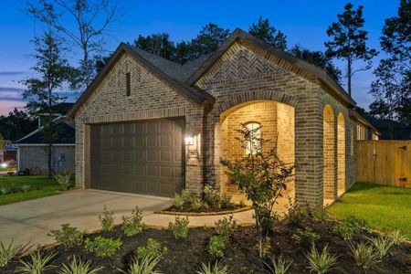 The Woodlands Hills: Artisan Series by Highland Homes in Willis - photo 7 7