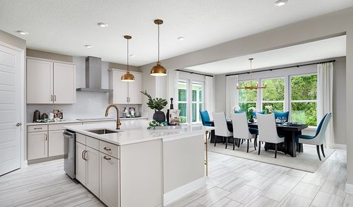 Seasons at Morada by Richmond American Homes in Saint Augustine - photo 20 20