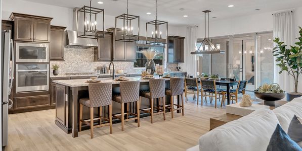 Palo Verde at North Creek by Woodside Homes in Queen Creek - photo 40 40
