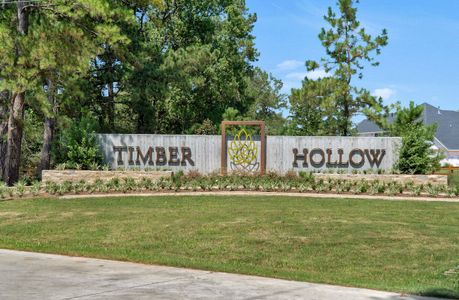 Timber Hollow by Beazer Homes in Magnolia - photo 0 0