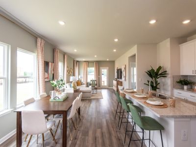 Sweetwater Green - Royal Series by Meritage Homes in Lawrenceville - photo 7 7