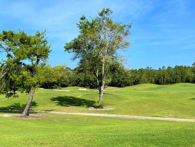 Fairways at Twisted Oaks by D.R. Horton in Beverly Hills - photo